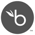 BambooHR icon